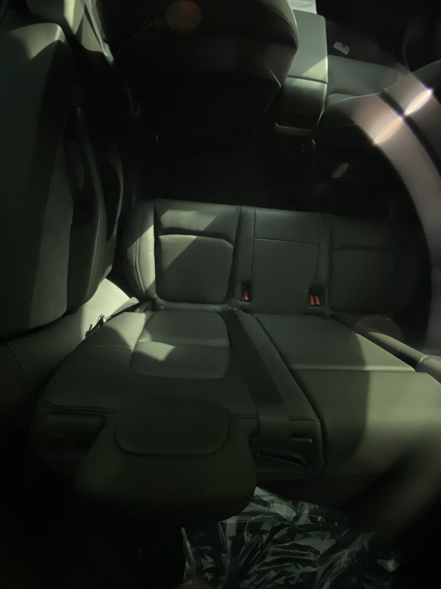 Rear seat as seen through glass roof Tesla Model Y Wiki